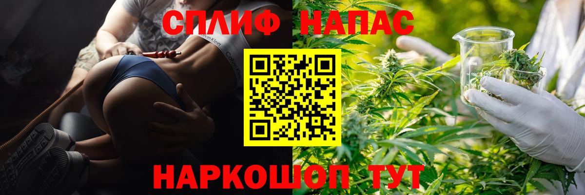 Конопля конопля  Канабис гибрид  Бошки марихуана план  Вход с VPN  Грозный 